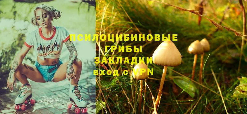 mega ТОР  Вяземский  Галлюциногенные грибы Magic Shrooms 